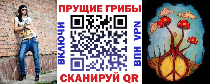 Галлюциногенные грибы Magic Shrooms  Новокузнецк 